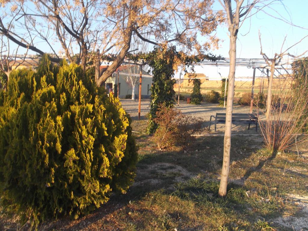Albergue Cetina 外观 照片